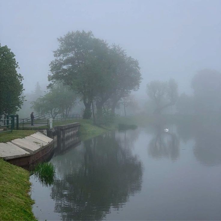 Create meme: the landscape is gloomy, fog , morning fog 