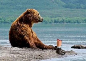 Create meme: bear bear, Yegor Letov