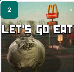 Создать мем: коты, кошка, толстый котик