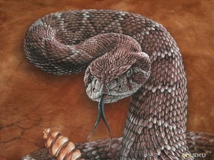 Создать мем: картины со змеями, гремучая змея рисунок, гремучая змея фото