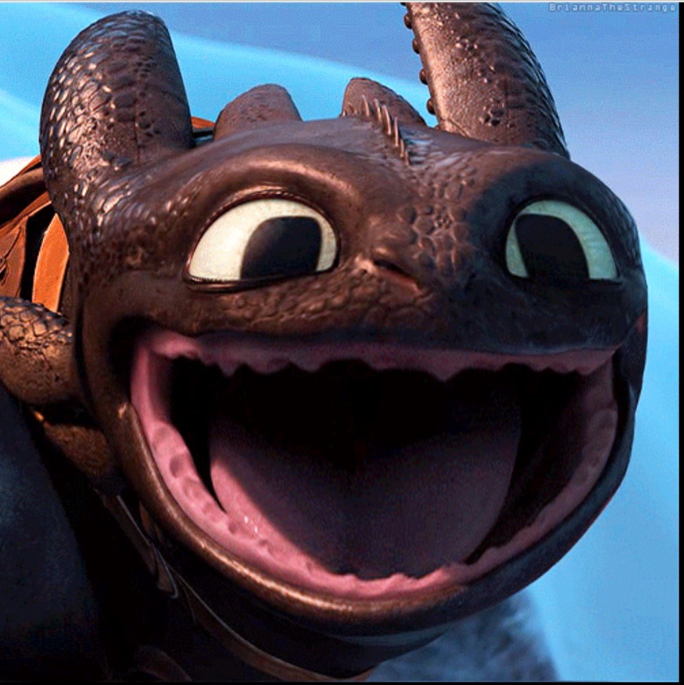 Create meme: Toothless cartoon, dragon toothless, hiccup and toothless