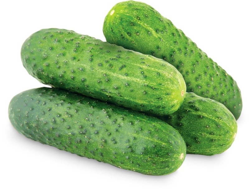 Create meme: fresh cucumber, cucumber mig, common cucumber