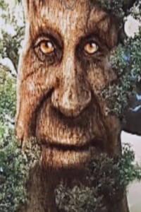 Create meme: tree, the talking tree, living tree