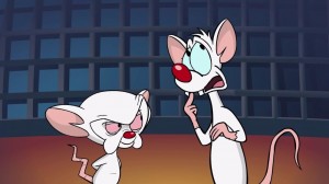 Create meme: pinky and brain gif, pinky and brain Wallpaper, pinky and brain GIF