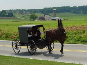Создать мем: carriage amish, кареты амишей, экипажи амишей
