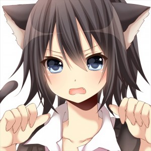 Create meme: anime, anime neko Chan, neko anime