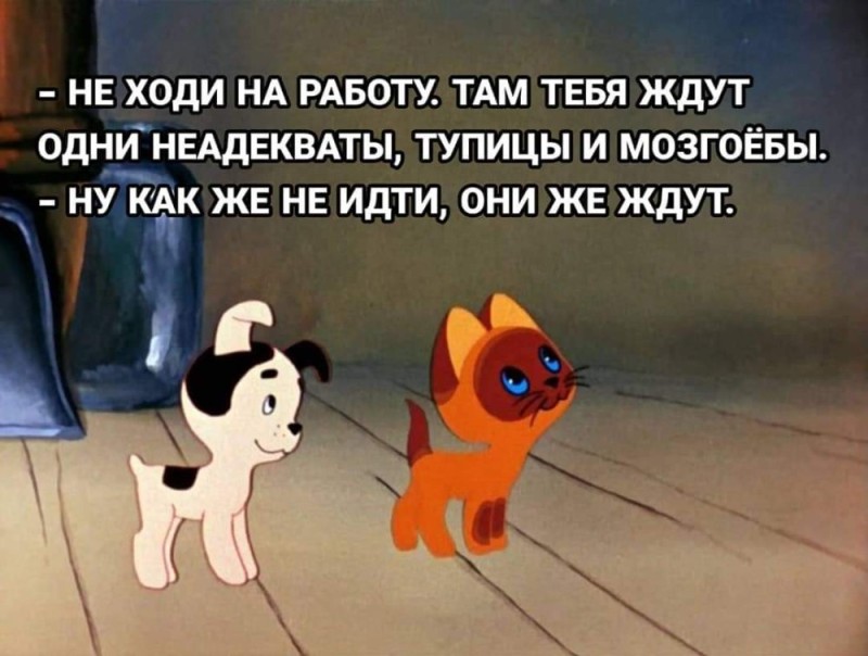 Создать мем: не ходи на работу там тебя ждут одни неадекваты, котенок гав, котёнок по имени гав