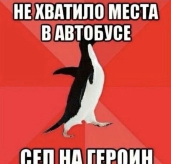 Создать мем: пингвин сидит мем, пингвин стоп мем, мемы