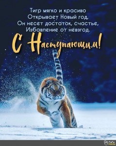 Create meme: snow tiger, Siberian tiger, the Amur tiger