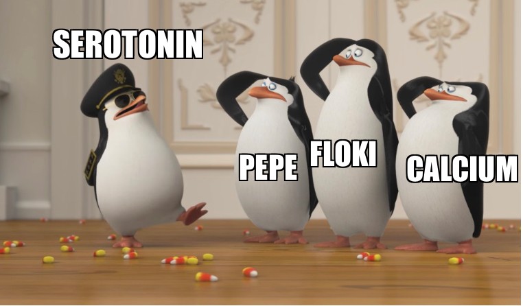 Создать мем: пингвины мадагаскара, penguin, мем пингвин