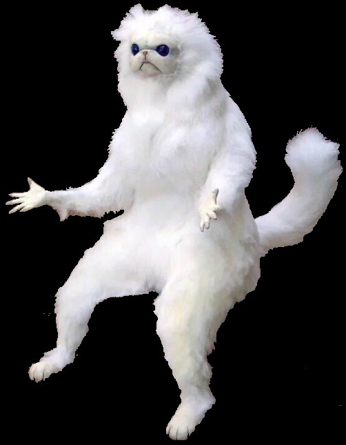 Create meme: meme Scarecrow, meme with a white cat, stuffed cat