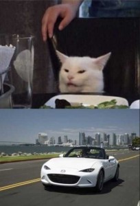 Create meme: cat at the table photo, meme, cats memes 2019, cat meme