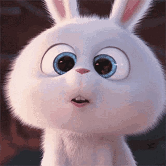Create meme: rabbit snowball, the hare from the cartoon the secret life of pets, the secret life of Pets rabbit