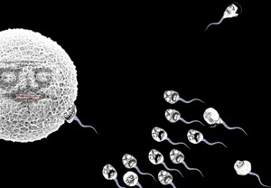 Create meme: sperm, human sperm competition, egg sperm png