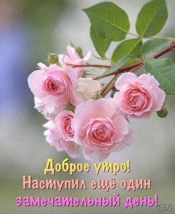 Create meme: happy Sunday, rose green pink, bright good morning pictures