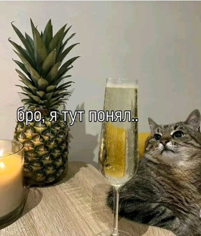 Создать мем: смешные коты, ананас, ананасовый кот
