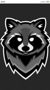 Create meme: raccoon hack, evil raccoon picture for steam, raccoon on the avu