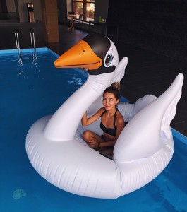 Create meme: swan island, the raft, round Swan
