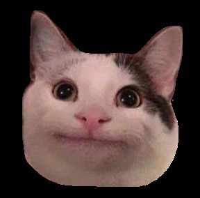 Создать мем: милый котик мем, кот, улыбающийся кот мем