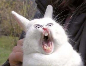Создать мем: кричащий кролик, орущий заяц, заяц кричит
