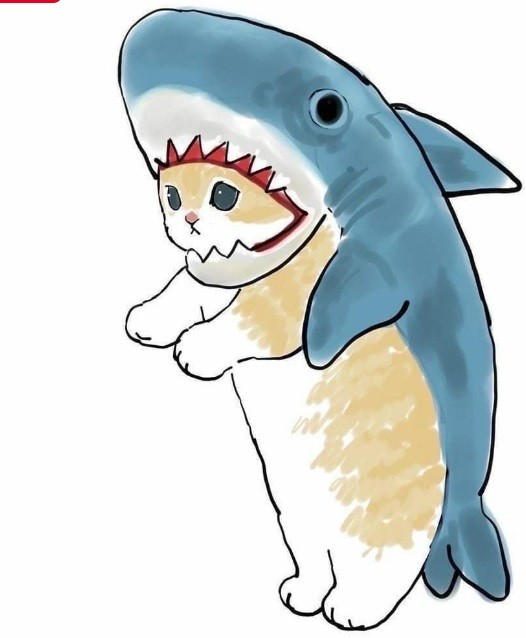 Create meme: a cat in a shark costume, shark art, shark drawing