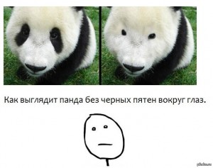 Create meme: Panda without black circles, Panda without black circles under the eyes, Panda