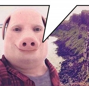 Create meme: male, the pig's face, people