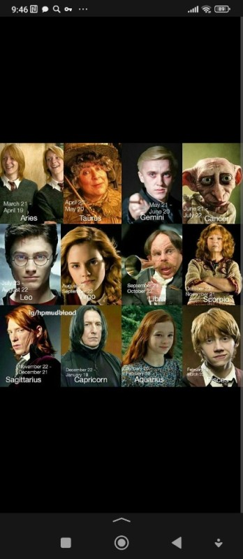 Create meme: harry potter harry potter, harry potter heroes, the characters of Harry Potter