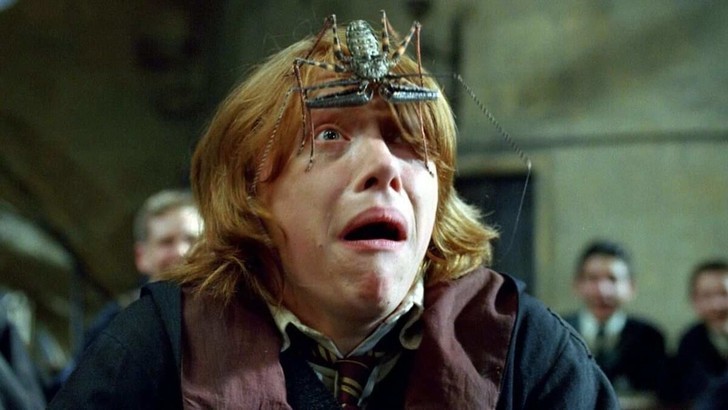 Create meme: Harry Potter , frin harry potter, Ron Weasley 