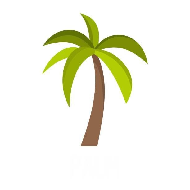 Создать мем: coconut tree, кокосовая пальма, пальма