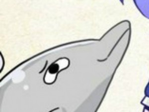 Create meme: Dolphin