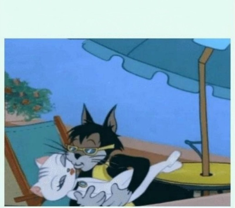Create meme: Tom kisses Jerry, Tom and Jerry , Tom and Jerry cat