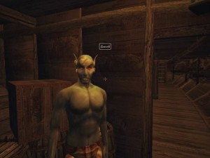 Создать мем: морровинд скрины джиуб, The Elder Scrolls III: Morrowind, tes джиуб
