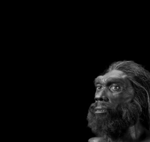 Создать мем: сапиенс, homo heidelbergensis лебединская, хомо неандерталец