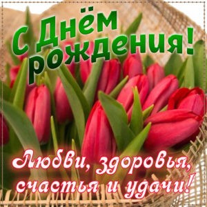 Создать мем: букет тюльпанов, тюльпаны к 8 марта, тюльпаны цветы