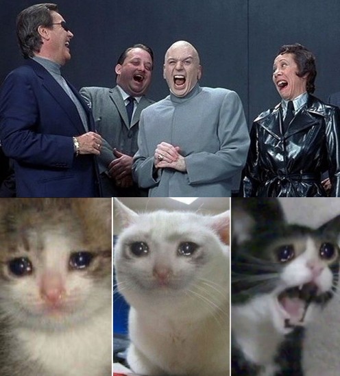 Создать мем: кот мемы 2021, плачущий кот мем, кот плачет мем