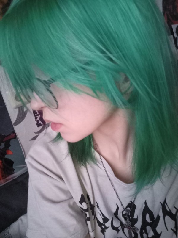 Создать мем: изумрудный цвет волос, зеленые волосы, зеленый цвет волос