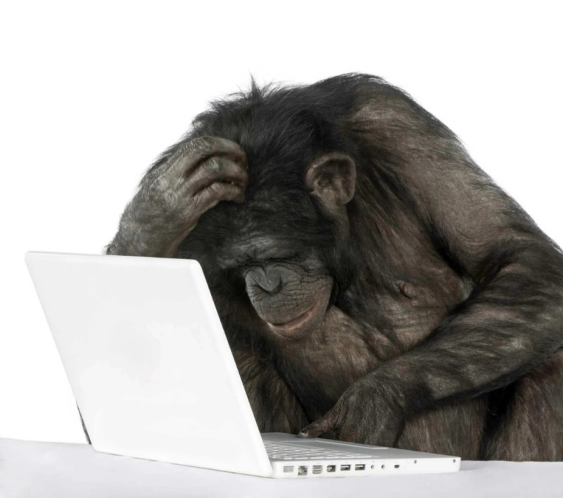 Создать мем: обезьяна за компьютером, мартышка за компьютером, обезьяна с ноутбуком