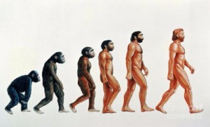 Create meme: the theory of evolution, homo, human evolution