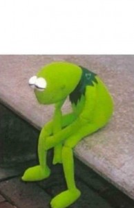 Create meme: rana, kermit the frog meme, lying sad kermit the frog