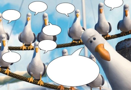 Create meme: seagulls meme, in search of nemo, seagulls Nemo