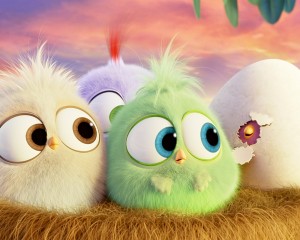 Создать мем: angry birds птенчики, angry birds, птенцы из энгри бердз