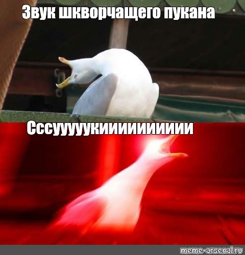 Узбеки спят мем звук