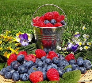 Create meme: large fruit, berry, berry summer