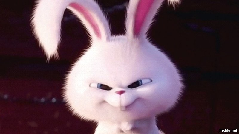 Create meme: the secret life of Pets rabbit, the secret life of pets hare, rabbit snowball
