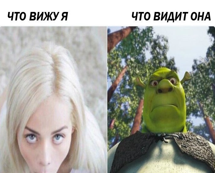 Create meme: Elsa Jean meme, memes , Shrek meme 