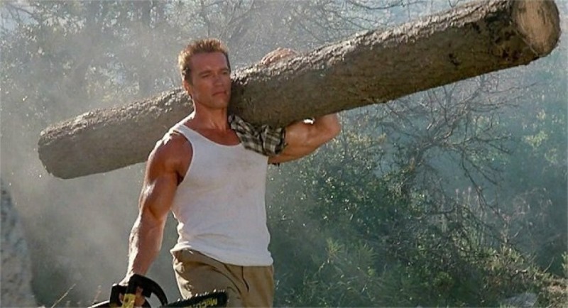 Create meme: Arnold Schwarzenegger , Schwarzenegger with a log , schwarzenegger with a log on his shoulder