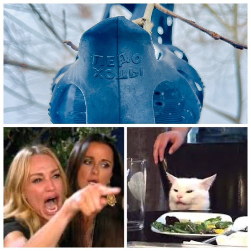 Create meme: meme with a cat and two women, MEM woman and the cat, meme two women yelling at the cat