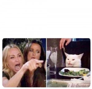 Create meme: funny funny, cat