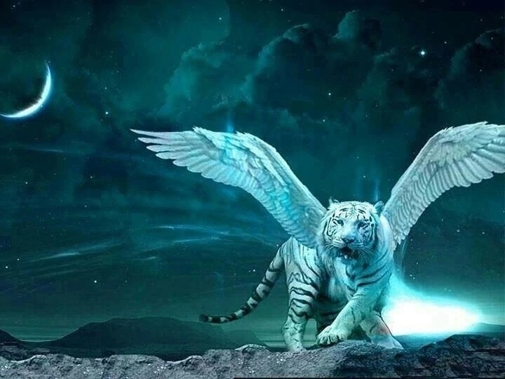 Создать мем: белый тигр, барс с крыльями, магические животные